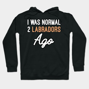 I Was Normal 2 Labradors Ago, Labrador Retriever Funny Dog Gift Hoodie